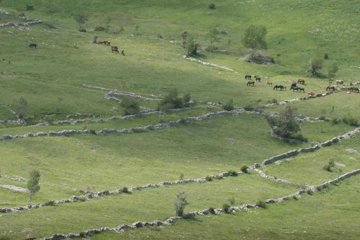 Velebitska degenija - Nagrađeni najbolji novinarski radovi s područja za&scaron;tite okoli&scaron;a i prirode