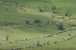 Velebitska degenija - Nagrađeni najbolji novinarski radovi s područja za&scaron;tite okoli&scaron;a i prirode
