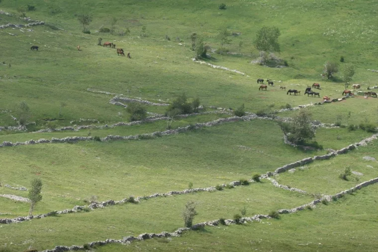 Velebitska degenija - Nagrađeni najbolji novinarski radovi s područja za&scaron;tite okoli&scaron;a i prirode