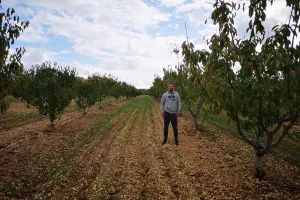 Kako poljoprivrednici u Ravnim kotarima planiraju profitirati 'zarobljavajući' CO2 i prodajući ga na burzi