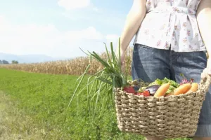 Aplikacija PlantOn povezuje OPG-ove s potro&scaron;ačima i nudi domaće povrće