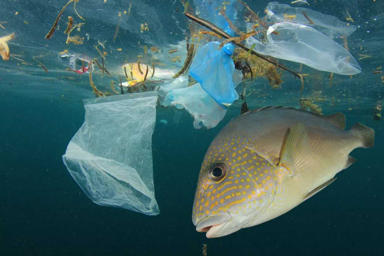 Pogledajte koja je država najveći svjetski oneči&scaron;ćivač plastičnim otpadom