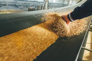 Cijene hrane u ožujku na najvi&scaron;oj razini u vi&scaron;e od 30 godina