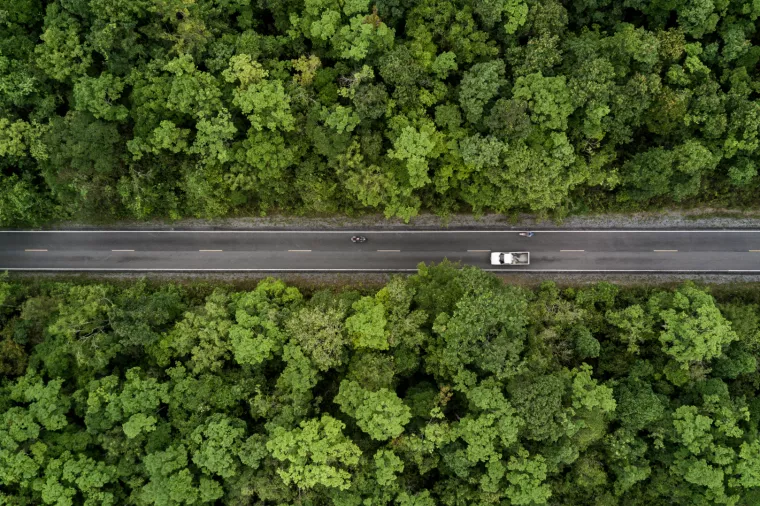 Ovo su najzelenije zemlje na svijetu, Hrvatske nigdje na vidiku