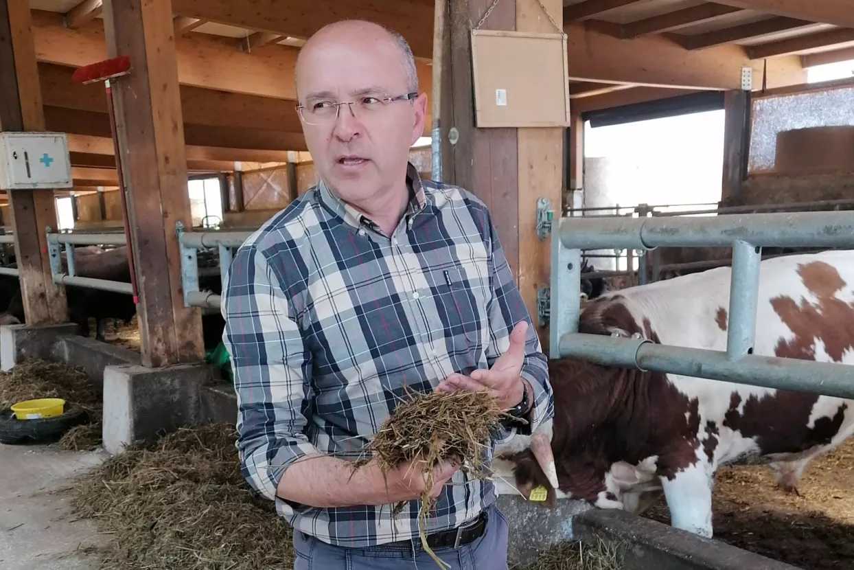 Natura Beef planira udvostručiti proizvodnju eko mesa i otvoriti jo&scaron; dva maloprodajna mjesta
