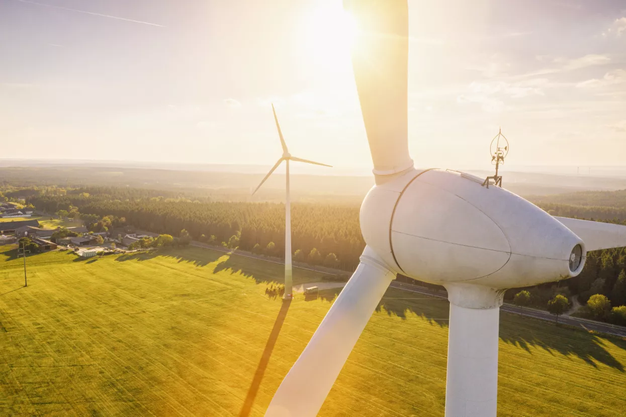 EU želi da se prijeđe na zelenu energiju ne vodeći računa o okoli&scaron;u