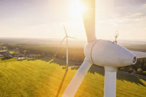 EU želi da se prijeđe na zelenu energiju ne vodeći računa o okoli&scaron;u