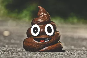 Umjetna inteligencija opisuje i kakicu