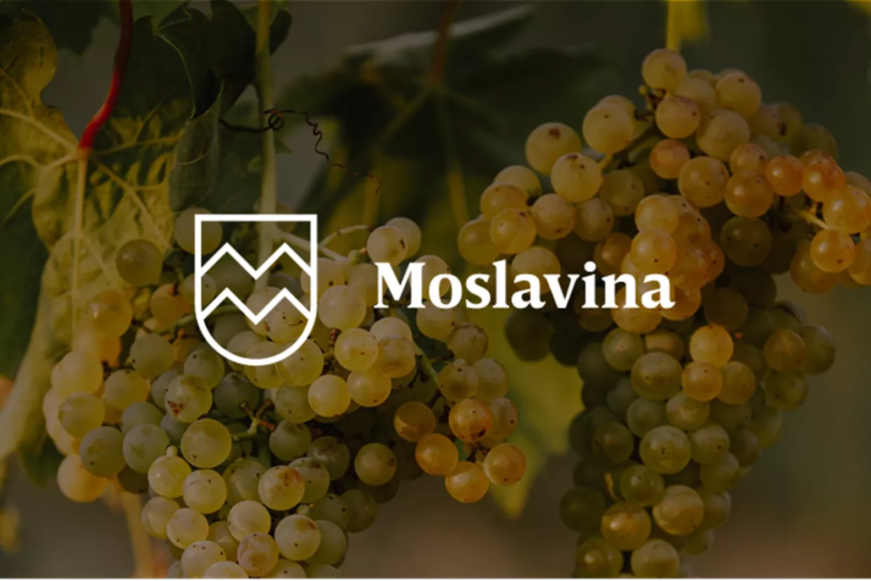 Moslavina &ndash; skrivena zemlja
