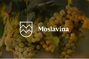 Moslavina &ndash; skrivena zemlja