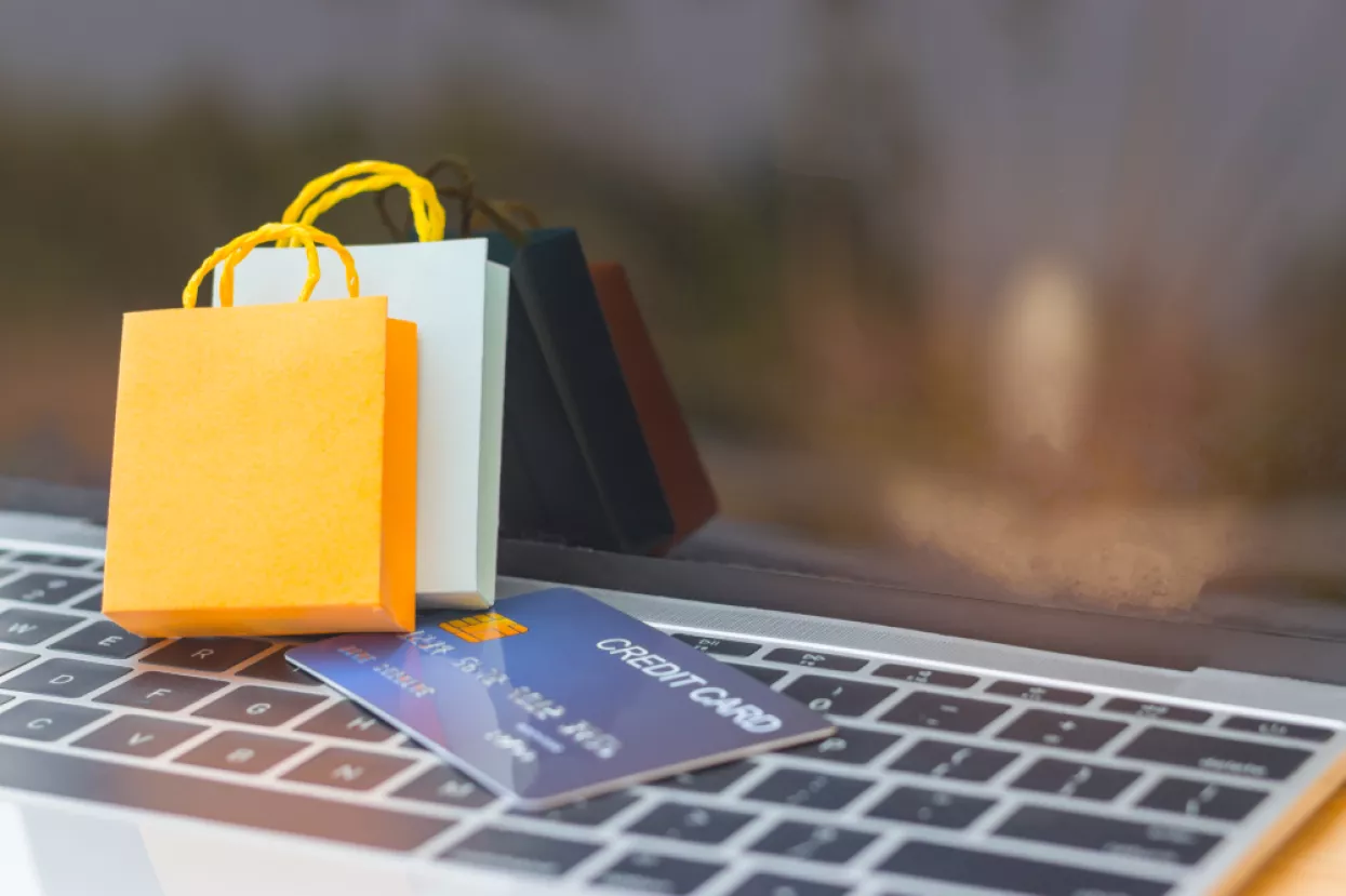 Tajna uspjeha: Nekoliko pravila i čelična volja za profitabilnu web trgovinu