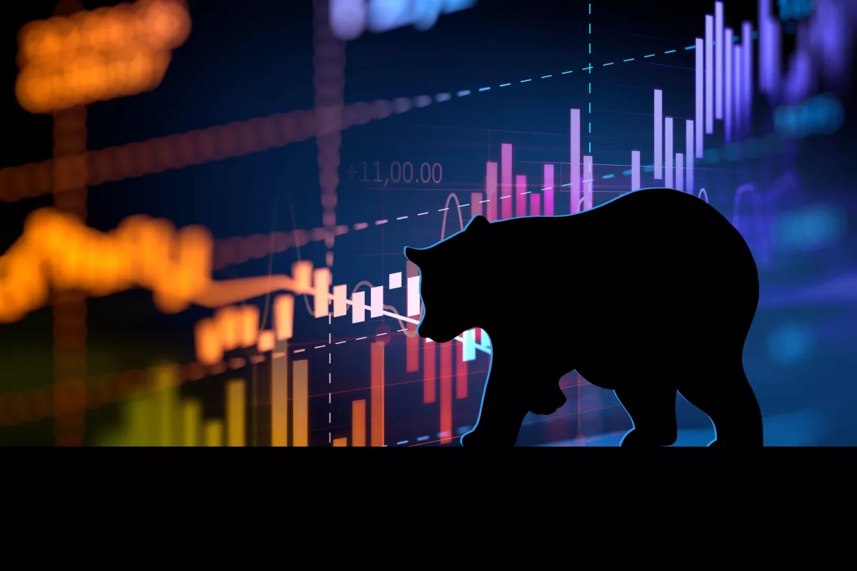 Kako preživjeti kripto bear market