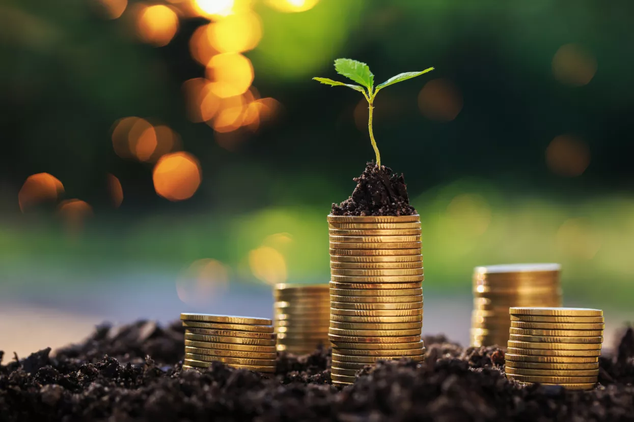 Investiranje malih tvrtki: bez ulaganja nema opstanka