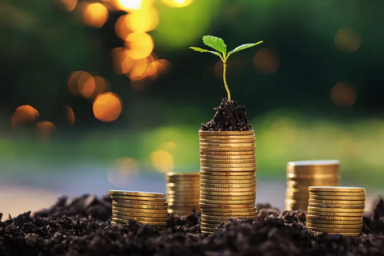 Investiranje malih tvrtki: bez ulaganja nema opstanka