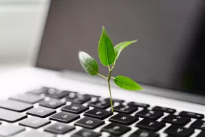 Digitalna održivost &ndash; kako Internet učiniti uistinu zelenim