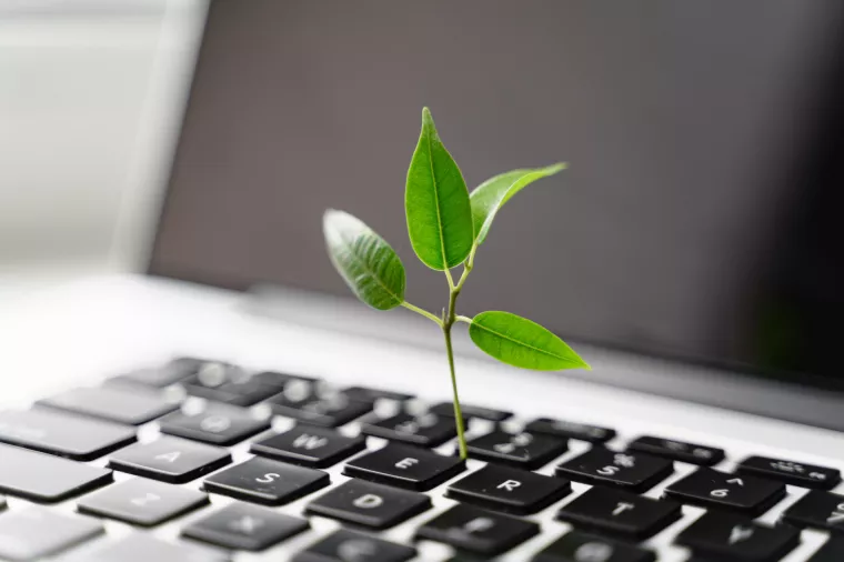 Digitalna održivost &ndash; kako Internet učiniti uistinu zelenim