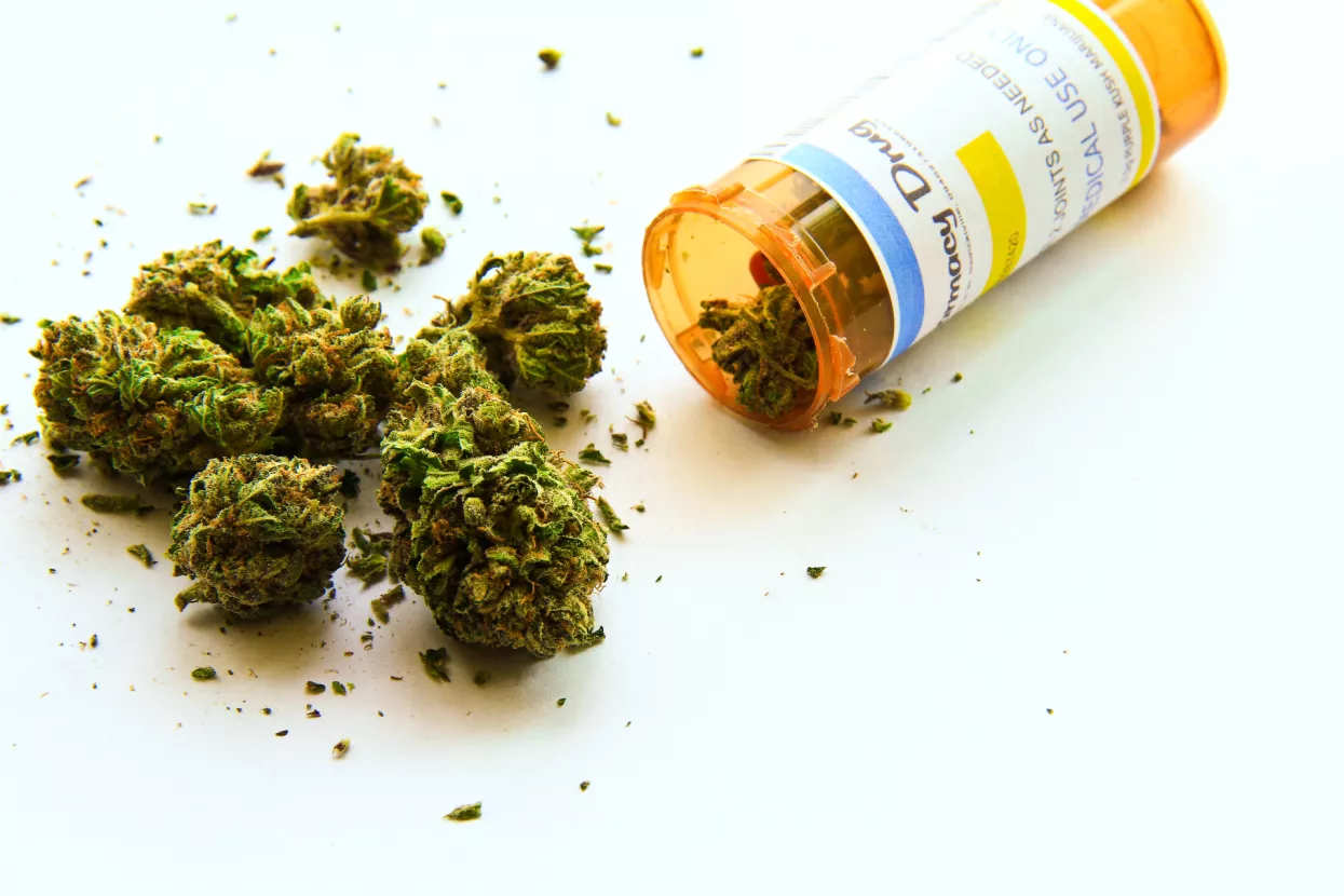 Marihuana kao lijek može se uvesti iz inozemstva