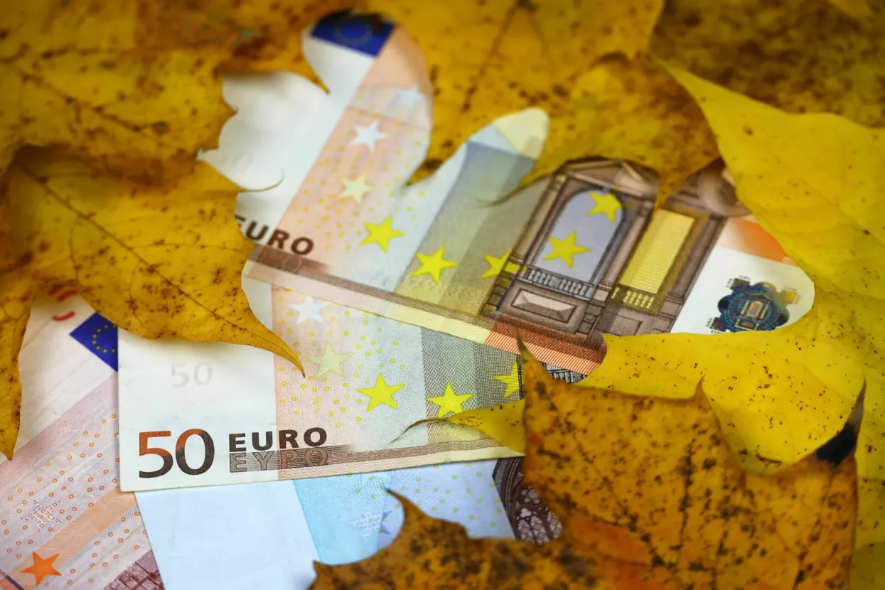 Euro banknotes 