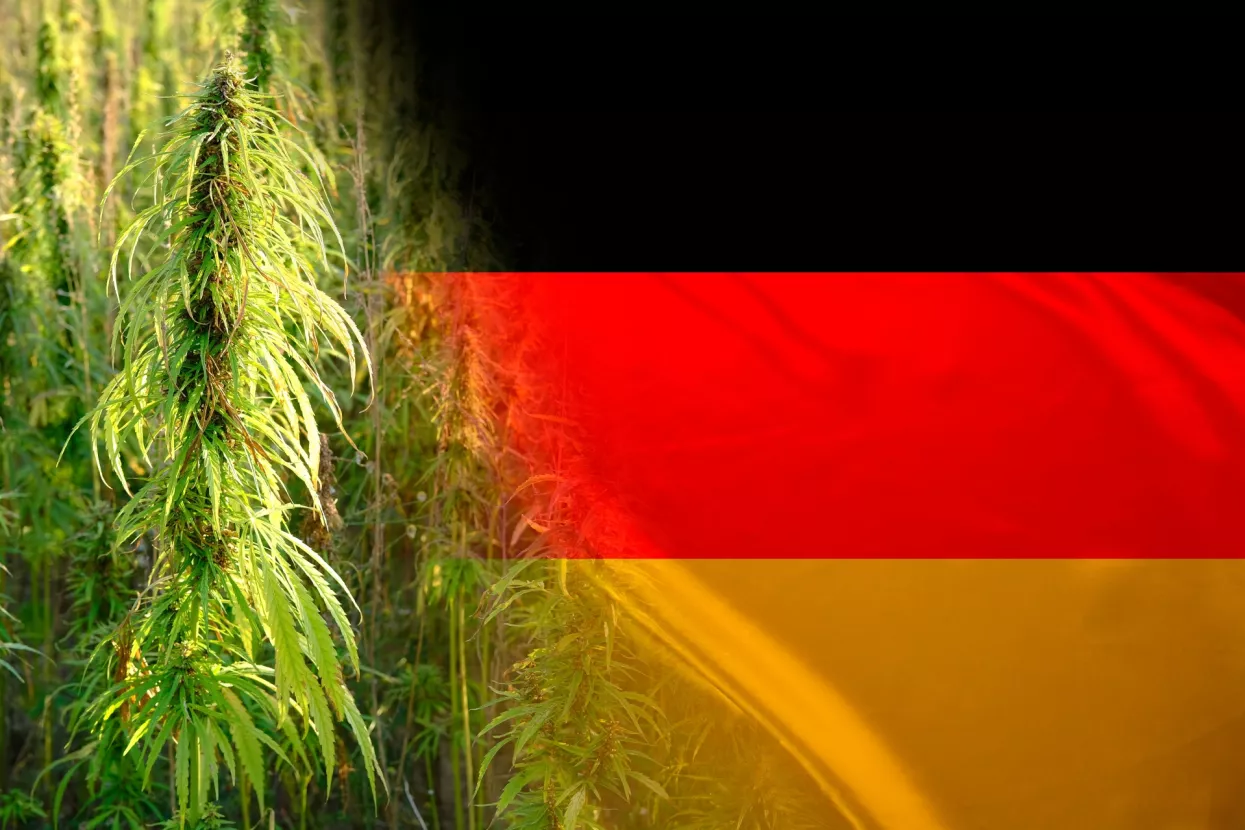 Njemačka legalizacija kanabisa