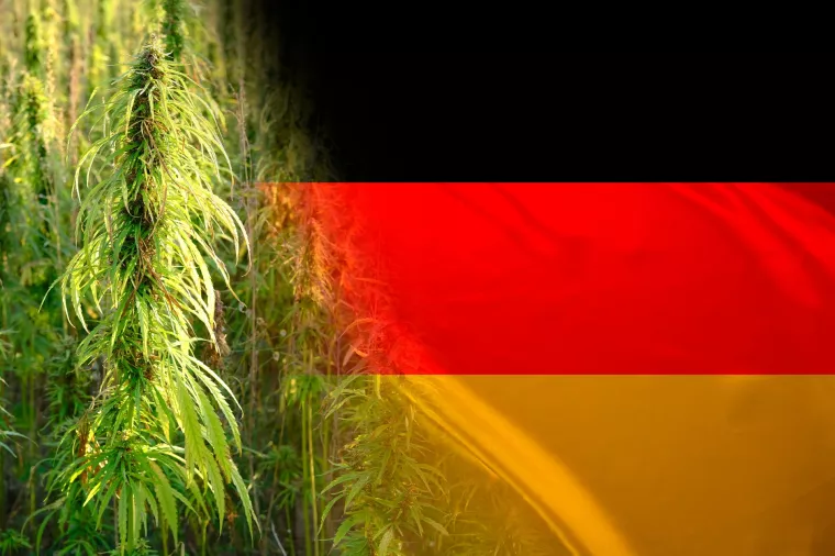 Njemačka legalizacija kanabisa