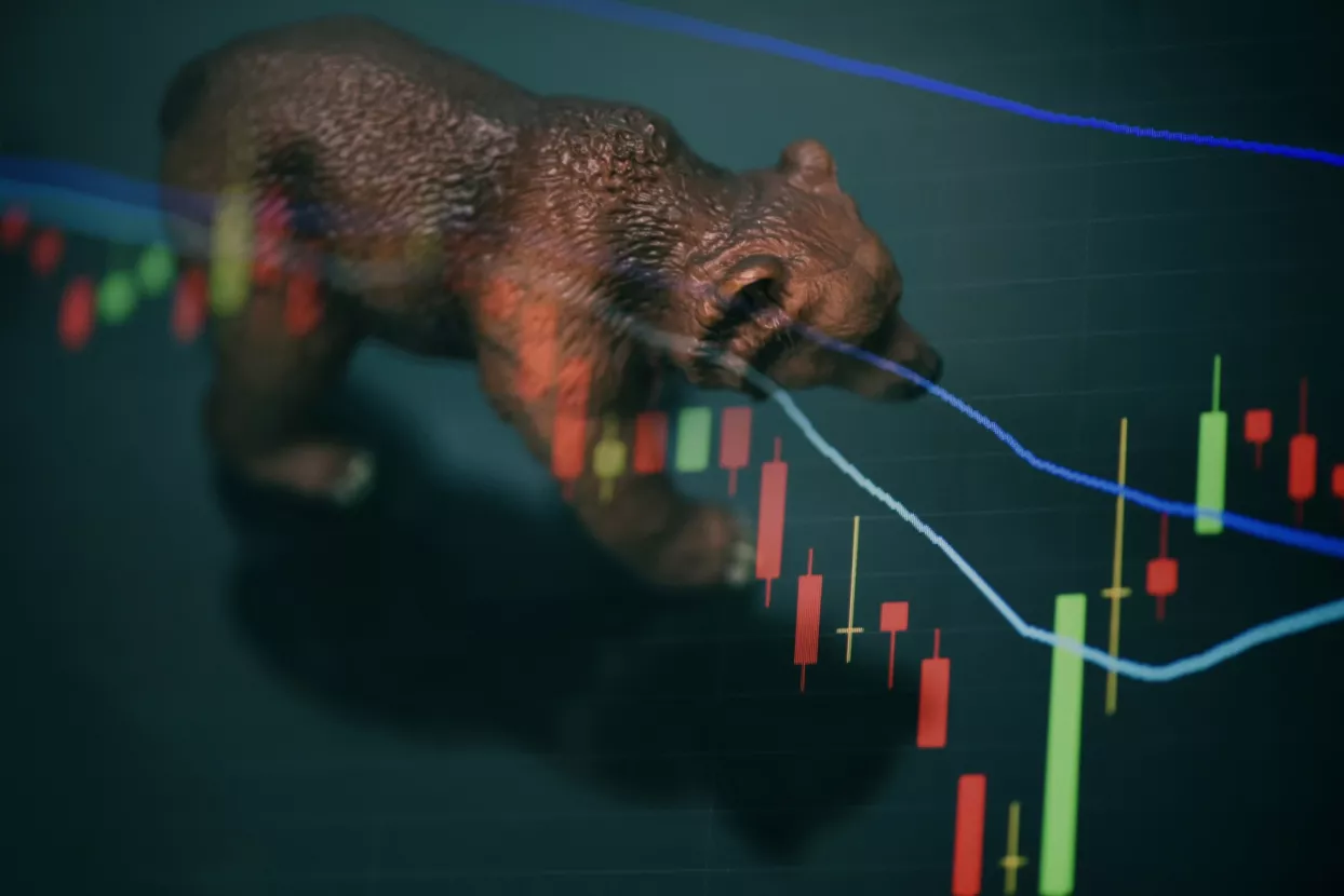 burze, pad, bear market