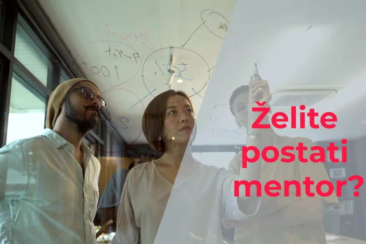 Hamag bicro mentorska mreža