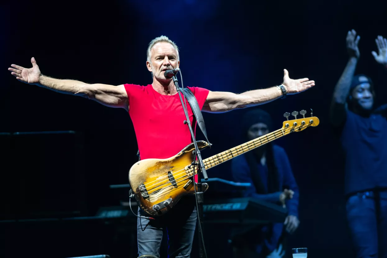sting sting