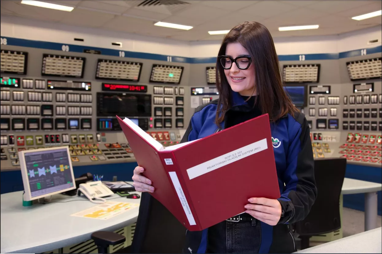 Lara Topol, Nuklearna elektrana Kr&scaron;ko