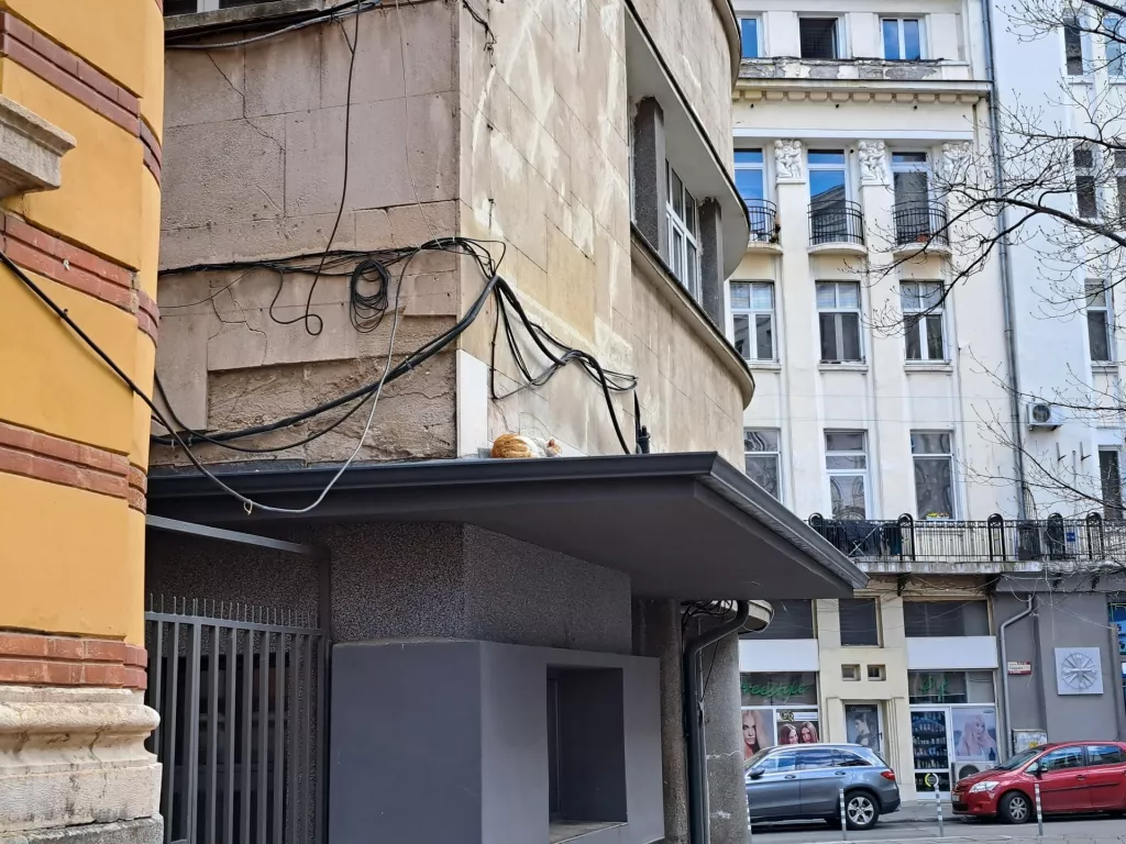 Balkanska domi&scaron;ljatost na djelu u Sofiji