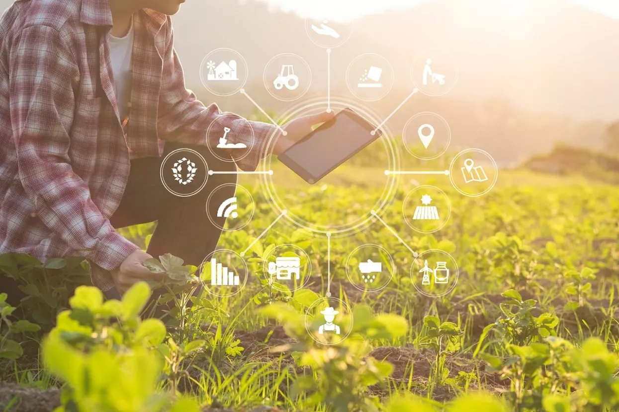 Softveri, često potpomognuti umjetnom inteligencijom (AI) upravljaju plantažama i stočnim farmama i poljoprivrednicima pomažu povećati prinos i održivost proizvodnje prilagođene klimatskim promjenama. Svi podaci dostupni su u stvarnom vremenu a to, u odnosu na tradicionalni uzgoj, ne samo da pobolj&scaron;ava urod nego smanjuje i tro&scaron;kove proizvodnje