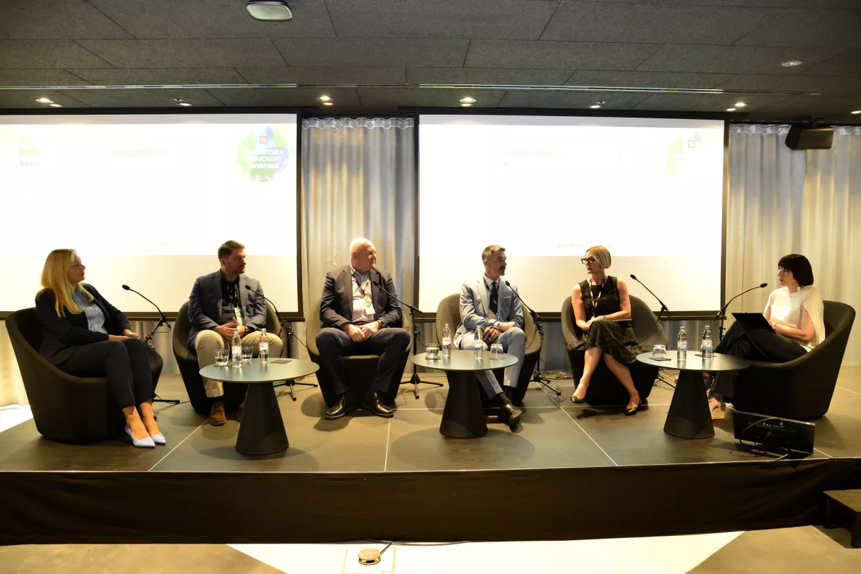 ENERGETSKA BUDUĆNOST HRVATSKE, Maja Rajčić, Vedran Belamarić, Ivo Čović, Dražen Jak&scaron;ić, Iva Regović Lekić, Gordana Gelenčer