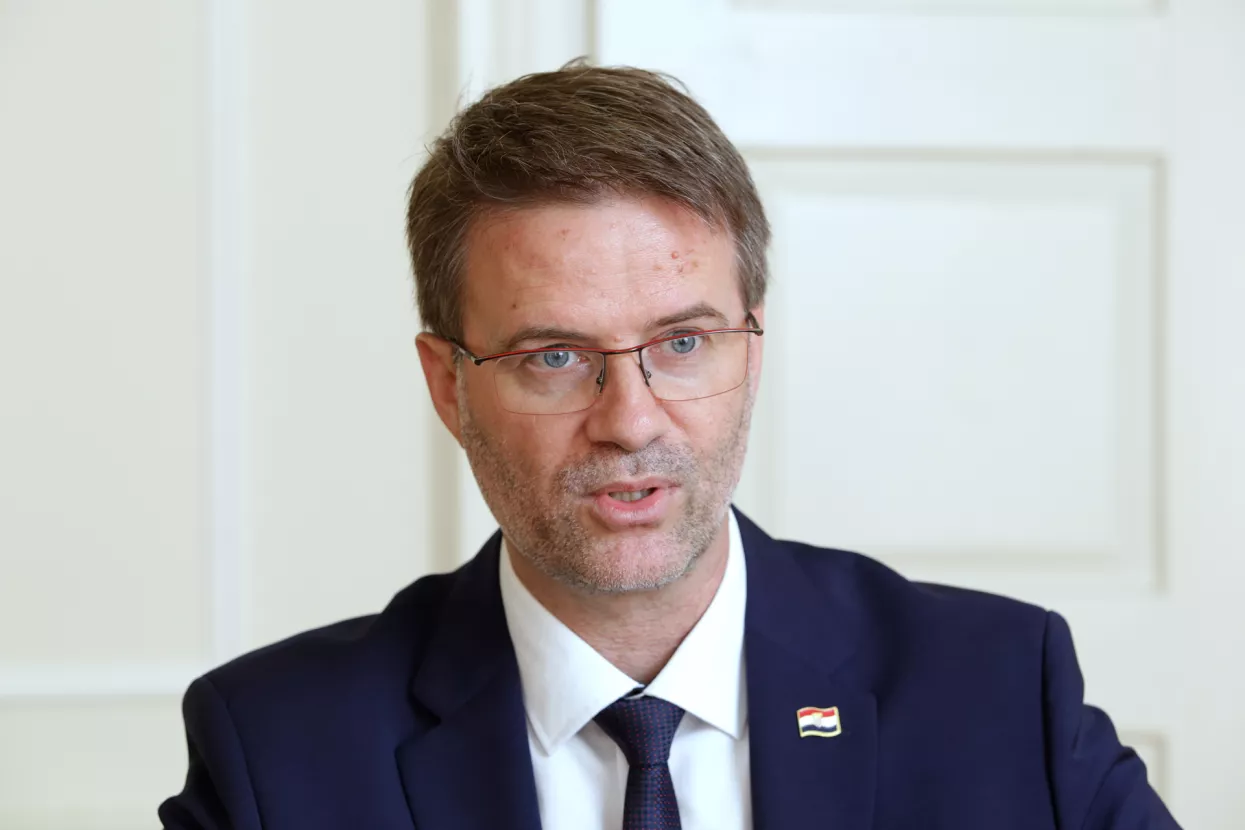 Zvonimir Savić