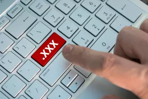 pornografija, pornići, pornografska industrija, xxx