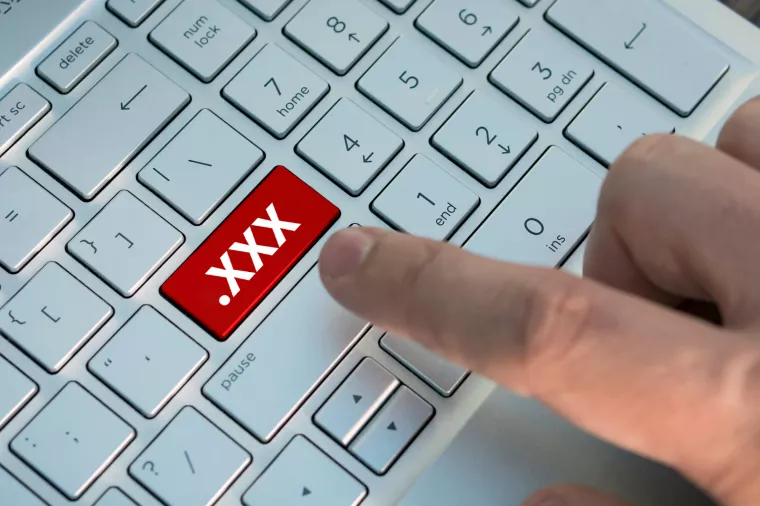 pornografija, pornići, pornografska industrija, xxx