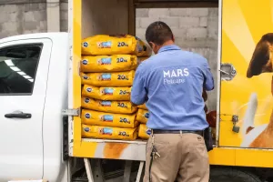 Mars M