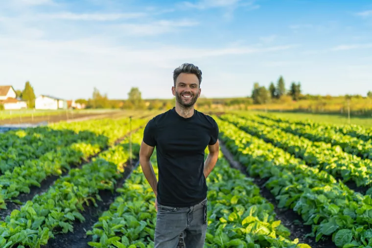 David Pejić, CEO