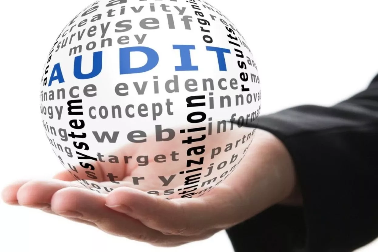 revizije, revizija, audit