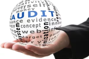revizije, revizija, audit