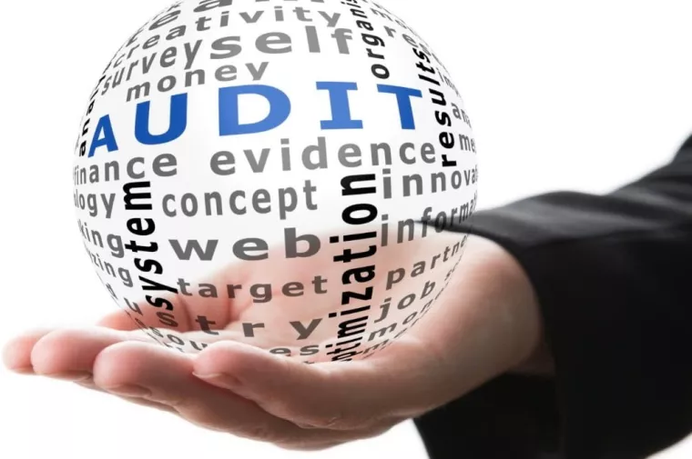 revizije, revizija, audit