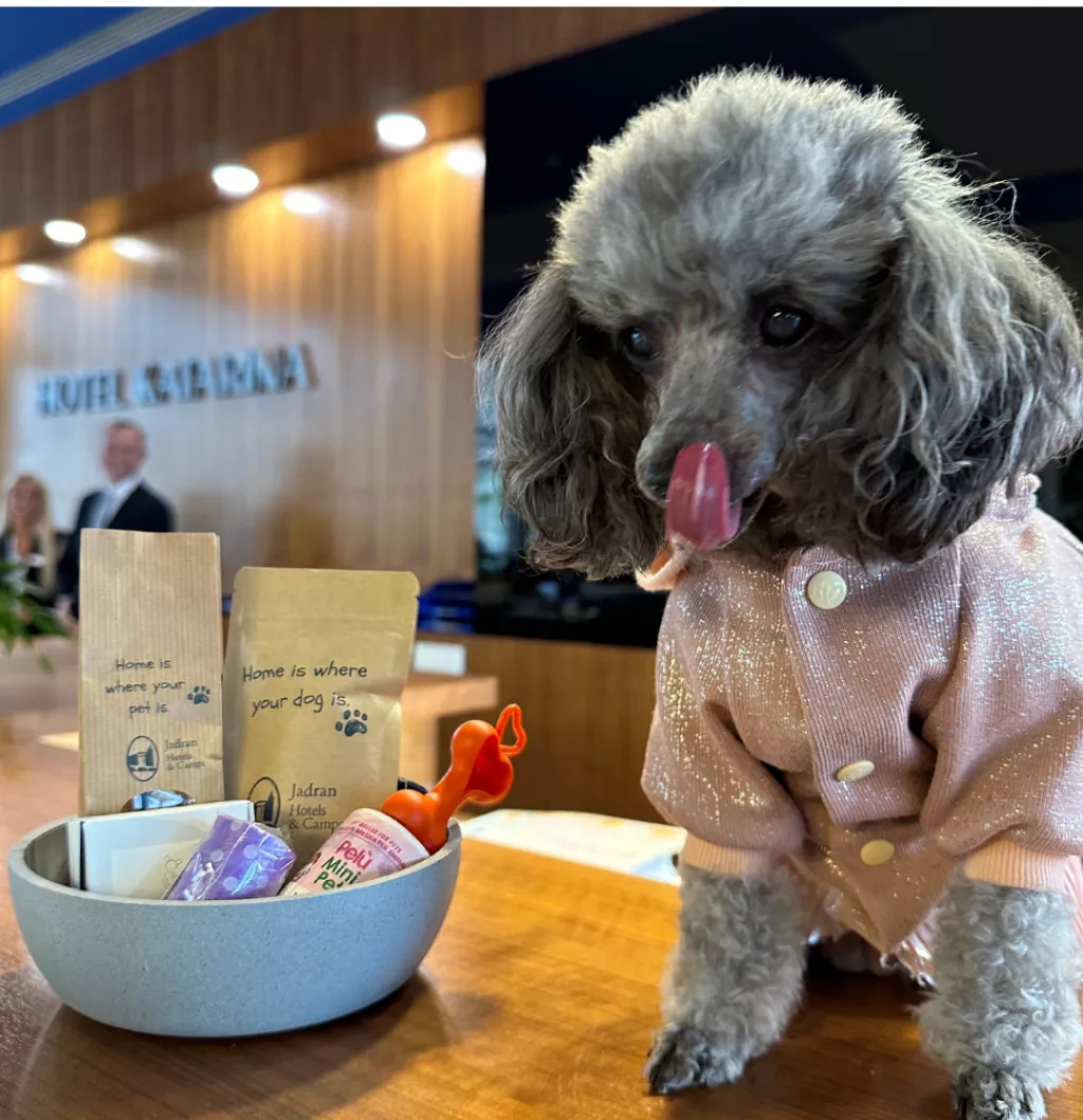 coco's managment