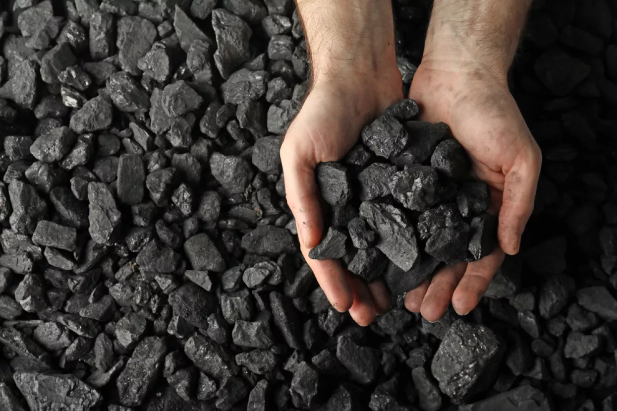 coal, ugljen, potro&scaron;nja ugljena