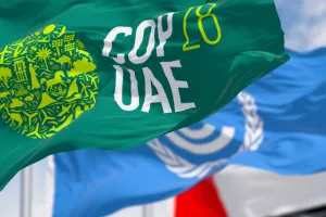 COP 28