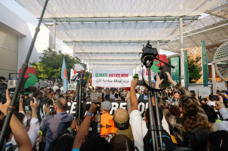 Greenpeace COP28