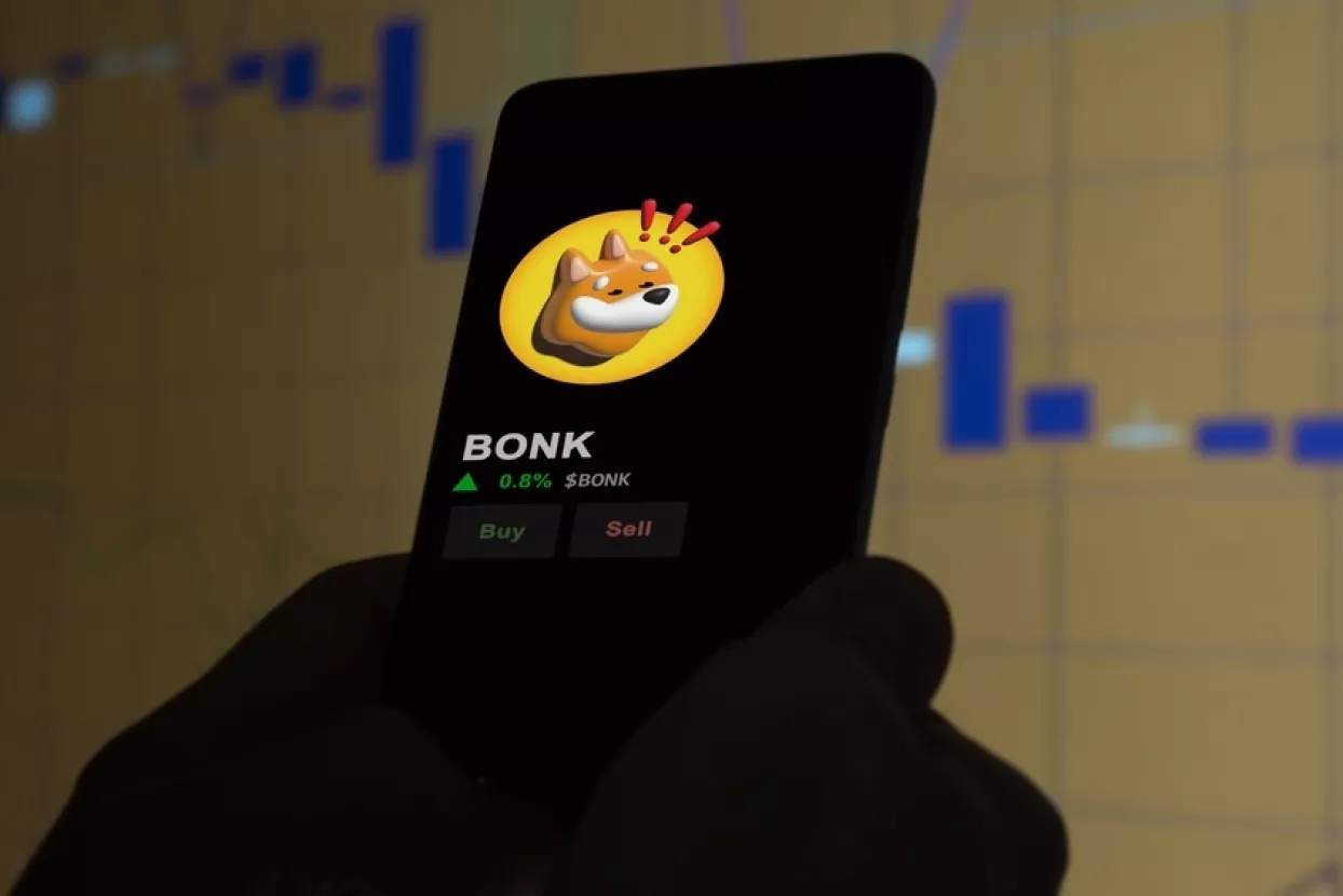 Bonk meme token