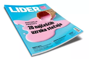 Lider 956