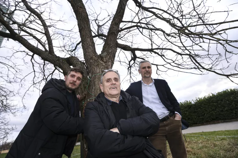 Tin Udovč, Ivica Tikvić i Maks Udov 