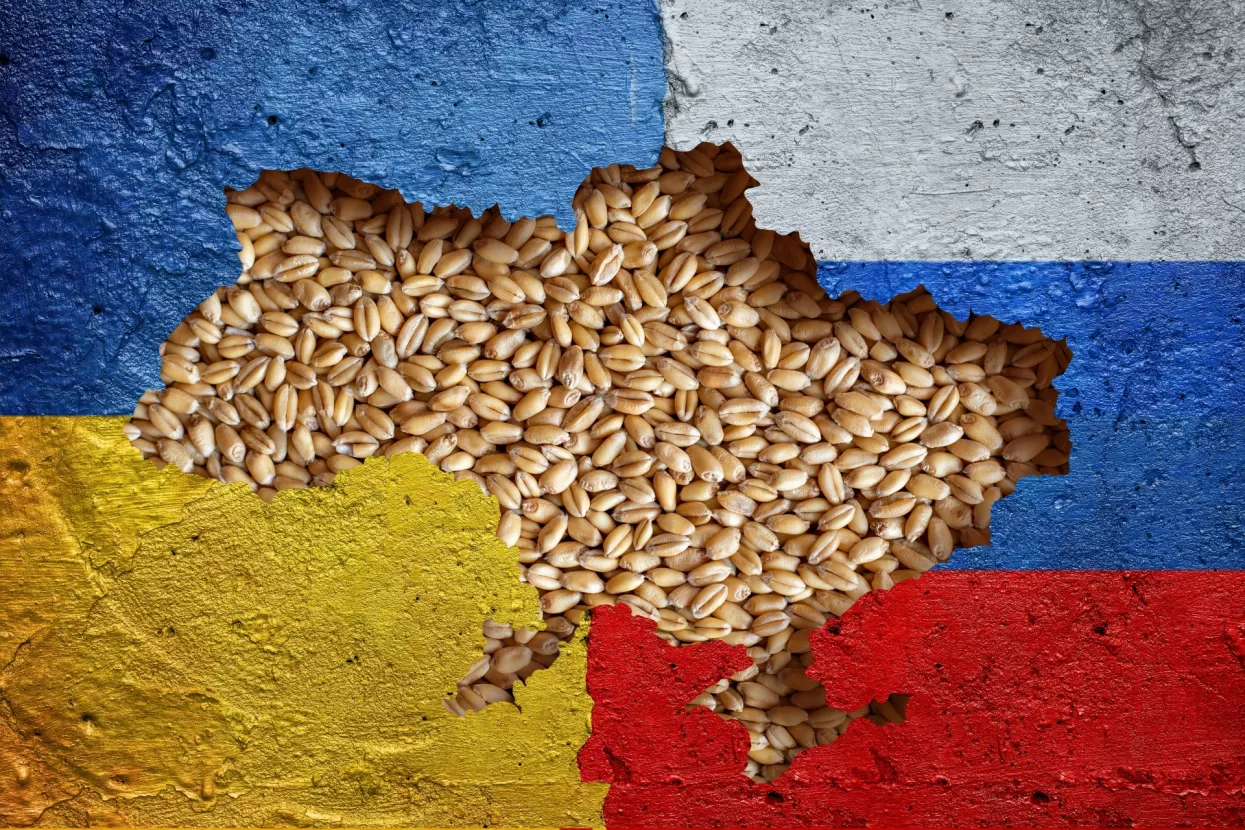 rusija, žito, ukrajina