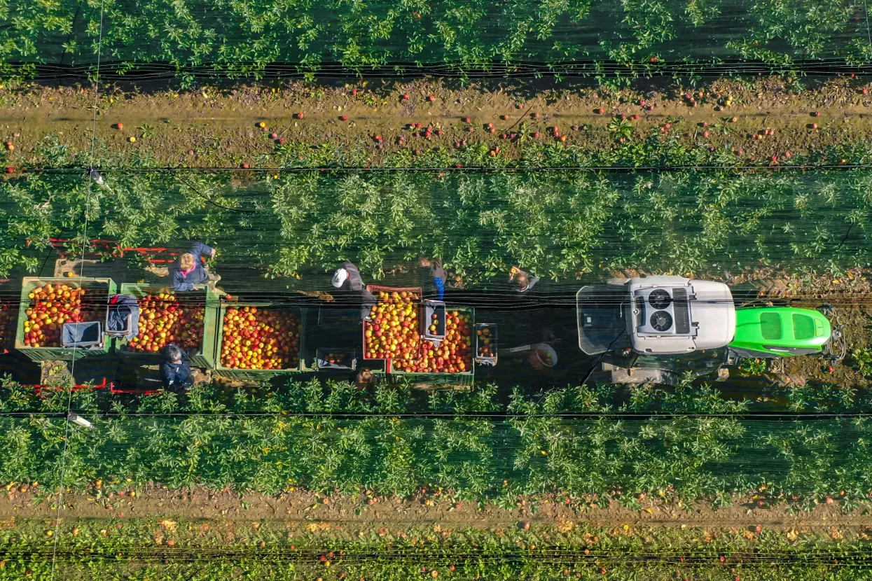 ENNA Fruit vlasnik je plantaže u Klo&scaron;tar-Ivaniću na kojoj se na 160 hektara uzgaja vi&scaron;e sorata jabuka