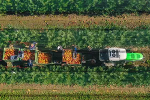 ENNA Fruit vlasnik je plantaže u Klo&scaron;tar-Ivaniću na kojoj se na 160 hektara uzgaja vi&scaron;e sorata jabuka