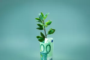Europska sredstva: Kako uskladiti projekt s načelom nenano&scaron;enja &scaron;tete za okoli&scaron;, a da ostane isplativ